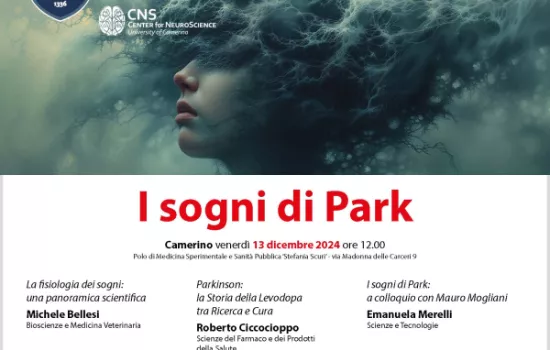 I sogni di Park
